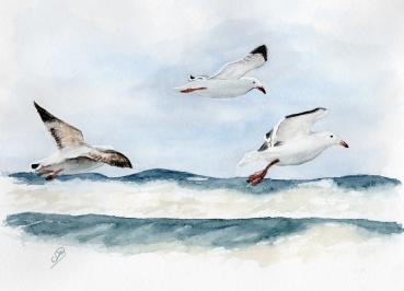 Postkarte DIN-A6  Aquarell Maritim Kunst Druck Dänemark Nordsee Ostsee Düne Dünen Meer Möwe Möwen Strand